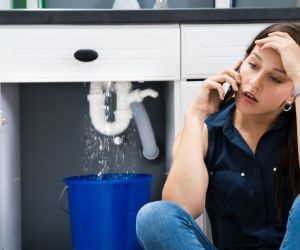 About Emergency plumbing pros Lee Center, NY